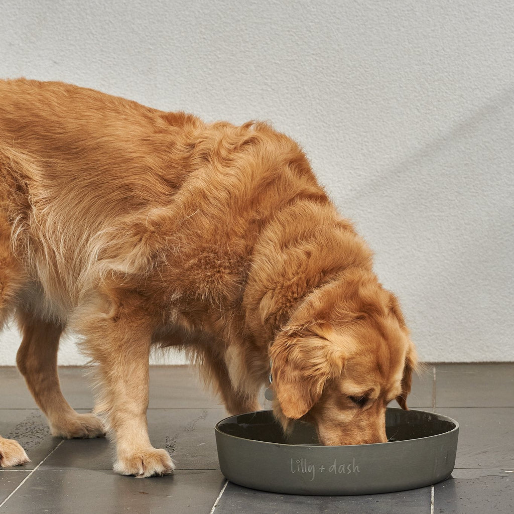 outdoor water bowls